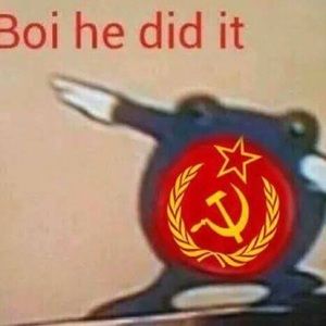 Meet your Posher, Bailey